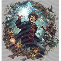 Harry Potter-HP 245